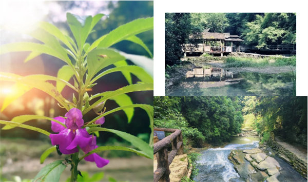 “湘”約鳳凰，相守未來——2022博皓快樂湖南行    -34