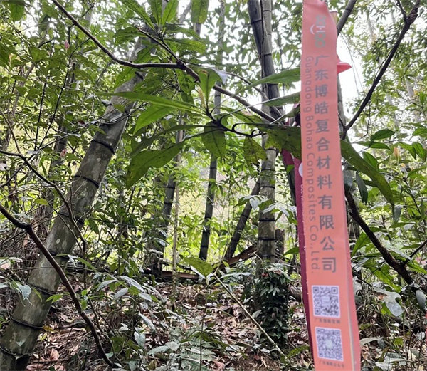凝心聚力再出發，風雨同舟赴星溪！--廣東博皓2024龍年首登星溪之旅     -2